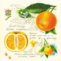 Салфетка для декупажа Апельсины botanical, 33х33 см